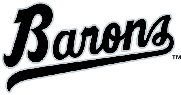 Birmingham Barons 1993-2007 Wordmark Logo iron on transfers for T-shirts
